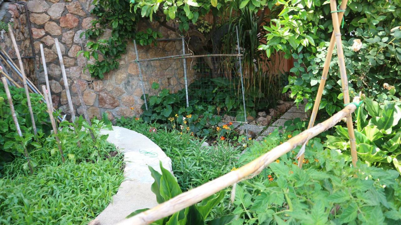 La Casa Di Elba E Mario Apartment Porto Santo Stefano  Luaran gambar
